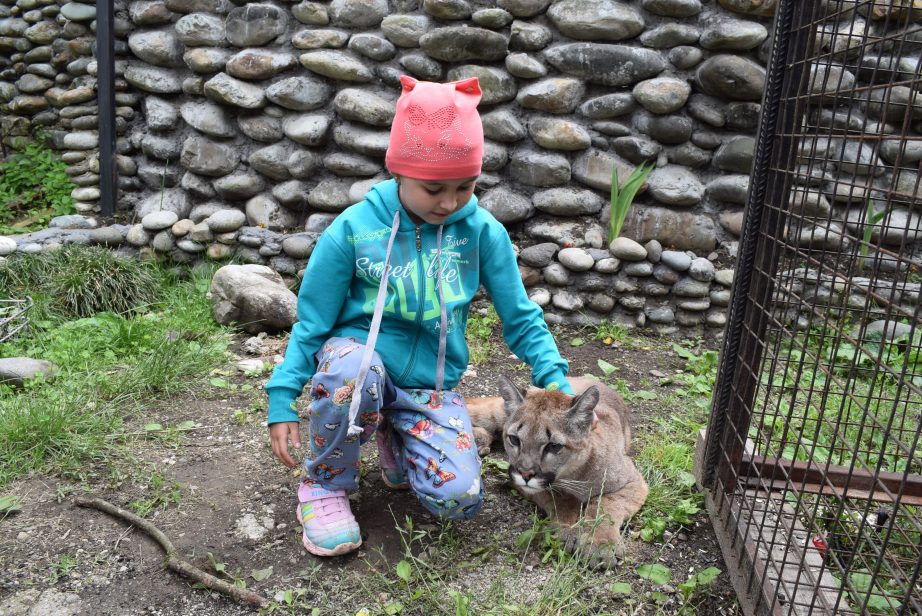 зоопарк в абхазии