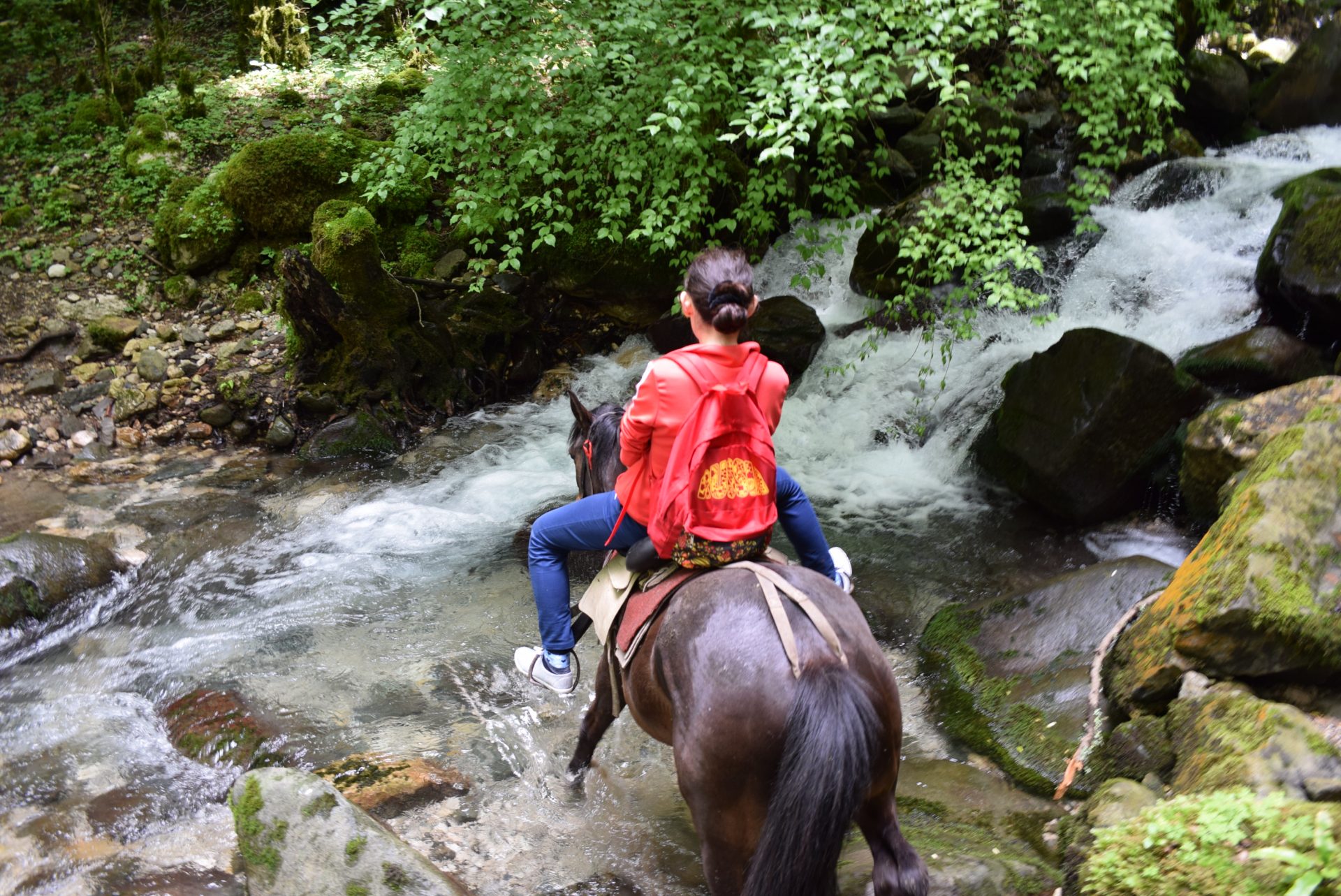 Абхазия конные прогулки Жоэкварское ущелье