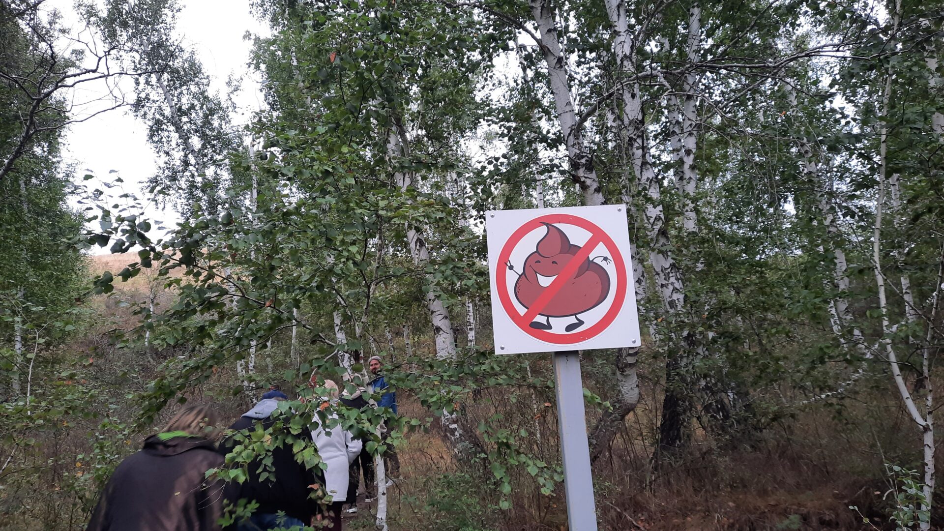 Аномальное место Аркаим Челябинская область что это и зачем туда ехать?