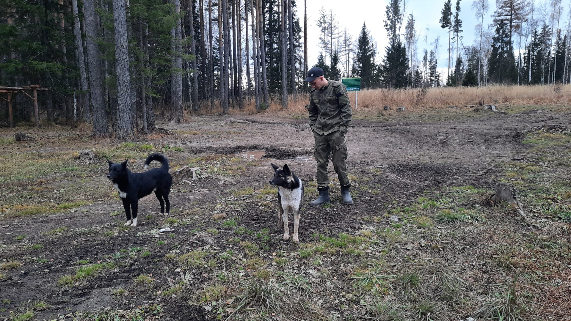 З способа Инзерские зубчатки как добраться. Актуальный маршрут