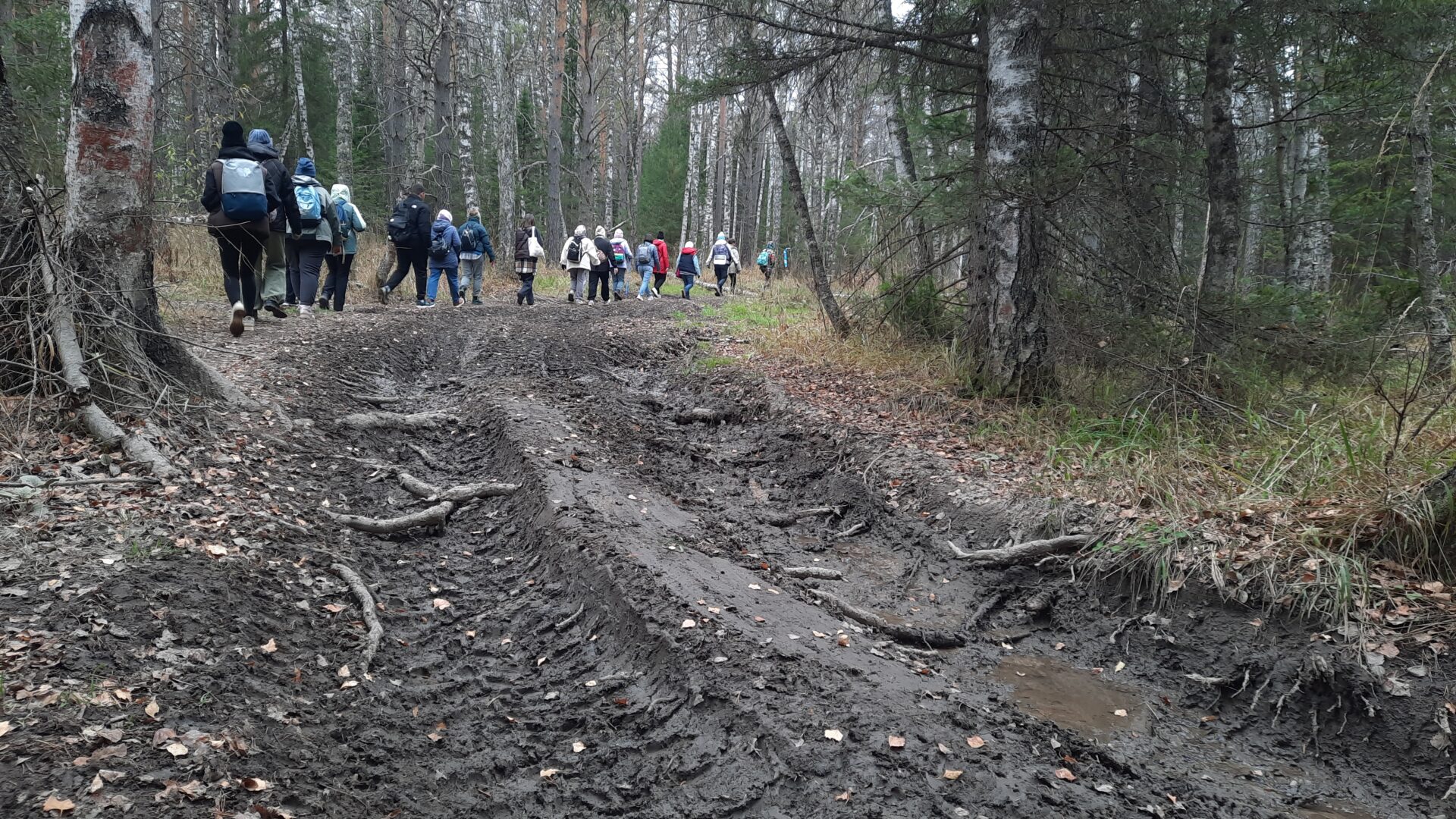 З способа Инзерские зубчатки как добраться. Актуальный маршрут