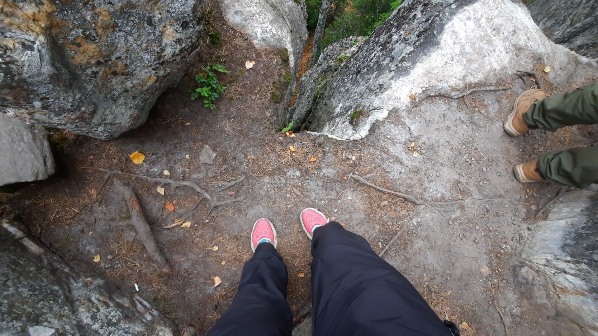 З способа Инзерские зубчатки как добраться. Актуальный маршрут