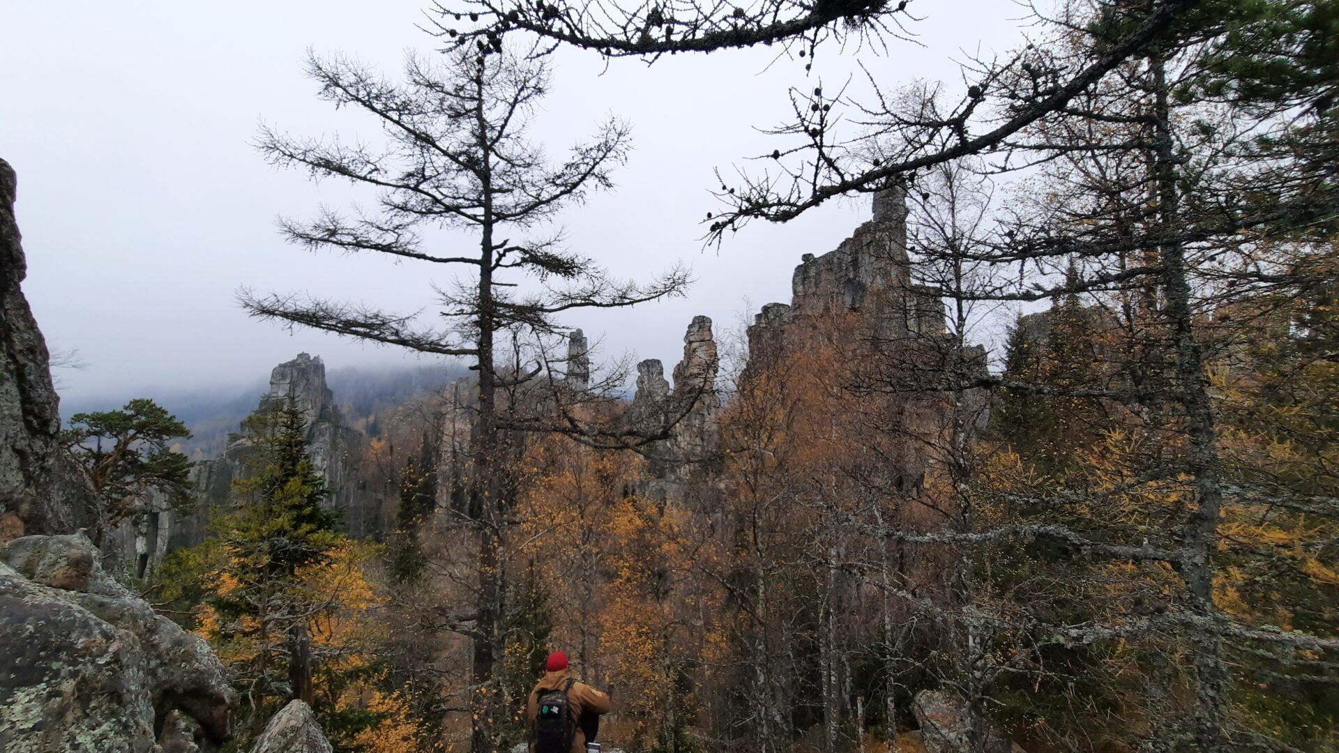 З способа Инзерские зубчатки как добраться. Актуальный маршрут