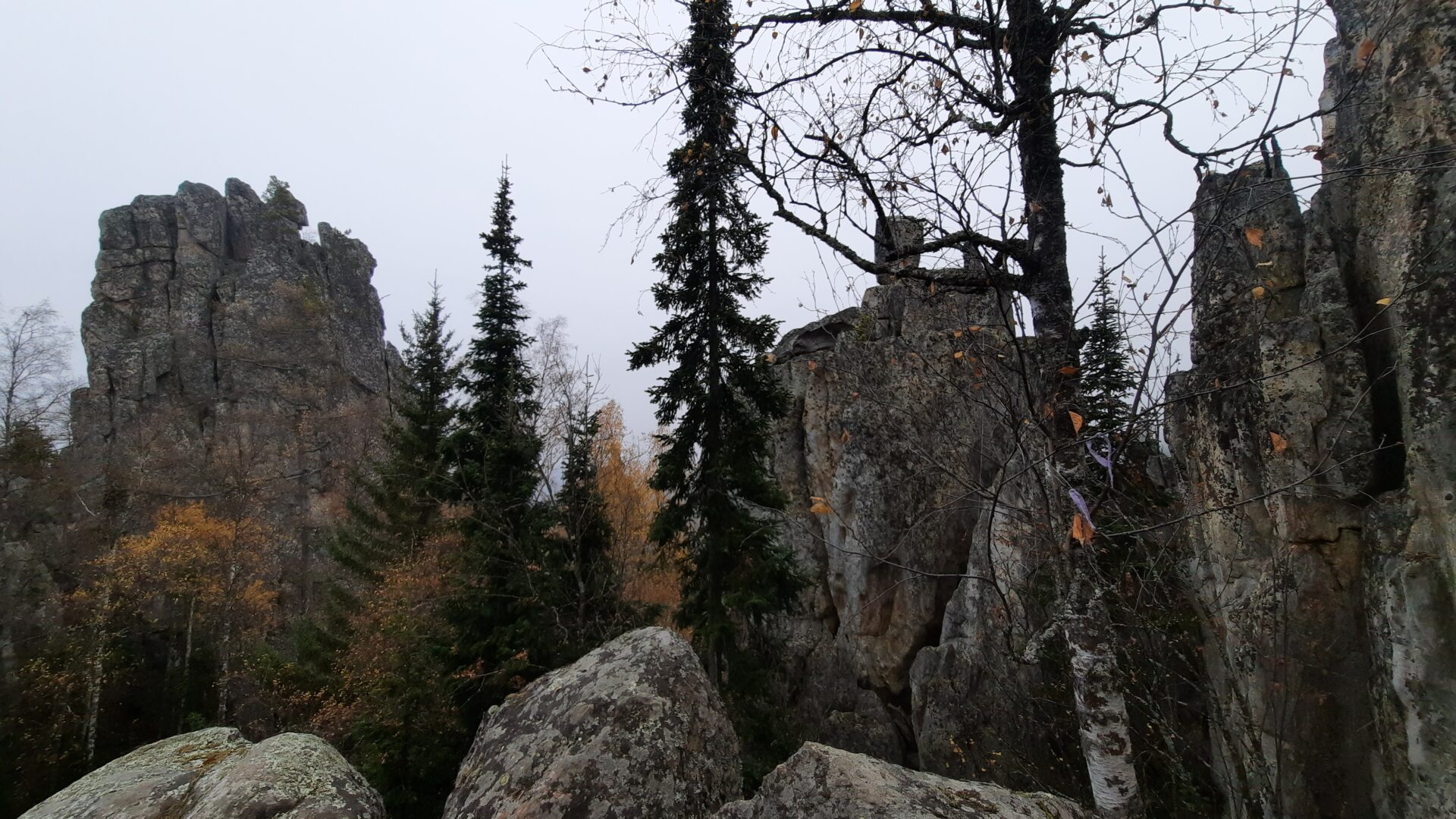 З способа Инзерские зубчатки как добраться. Актуальный маршрут